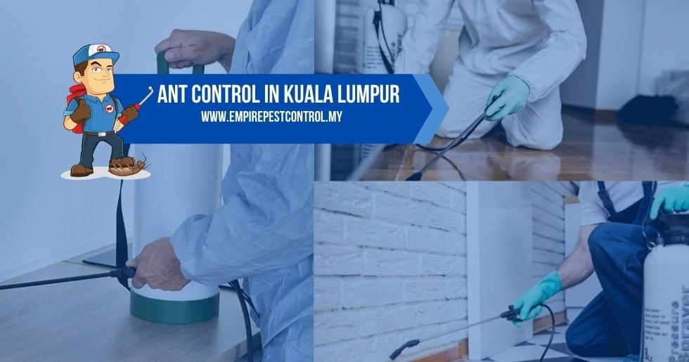 Ant Control Kuala Lumpur