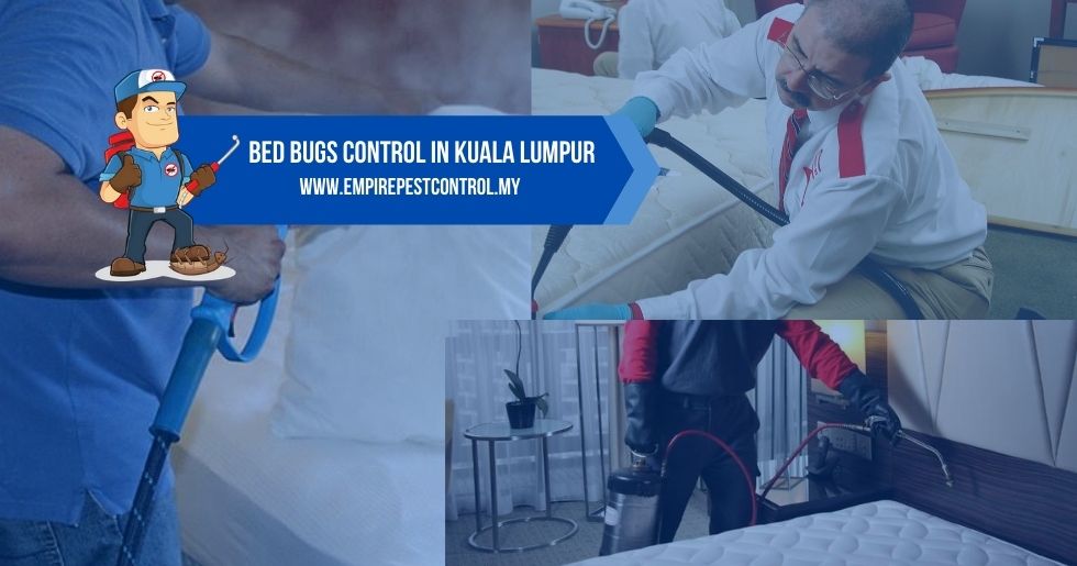 Bed Bugs Control Kuala Lumpur