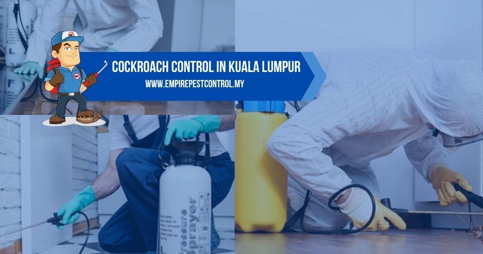 Cockroach Control Kuala Lumpur