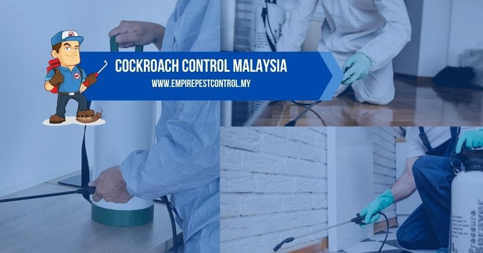 Cockroach Control Malaysia