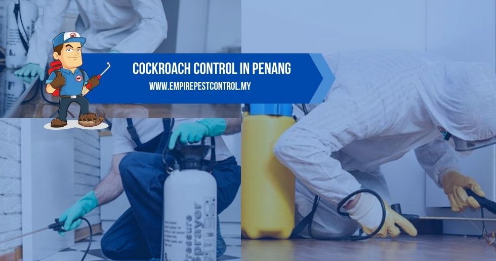 Cockroach Control Penang