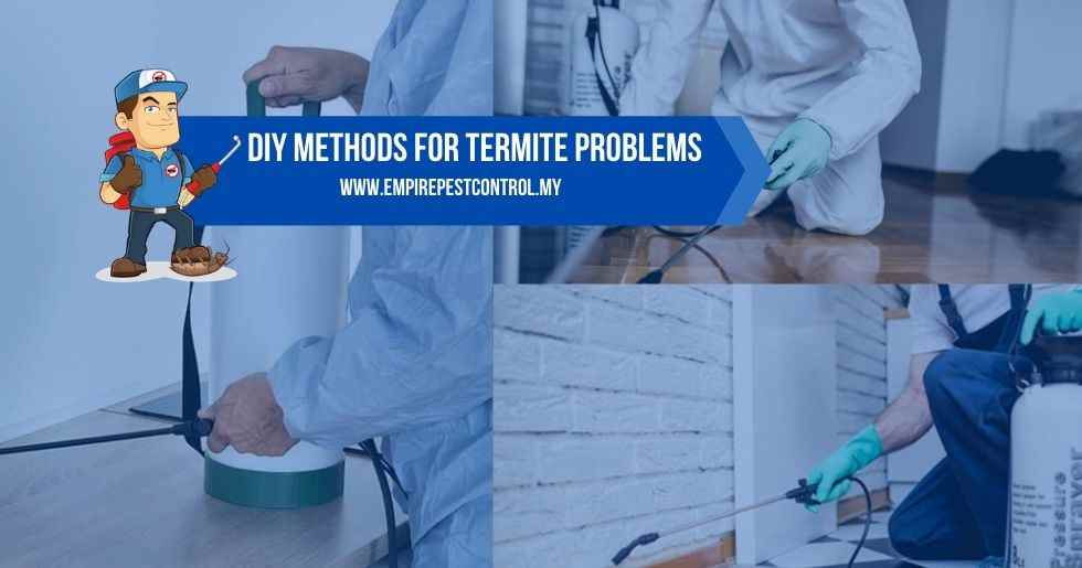 DIY Methods For Termite Problems