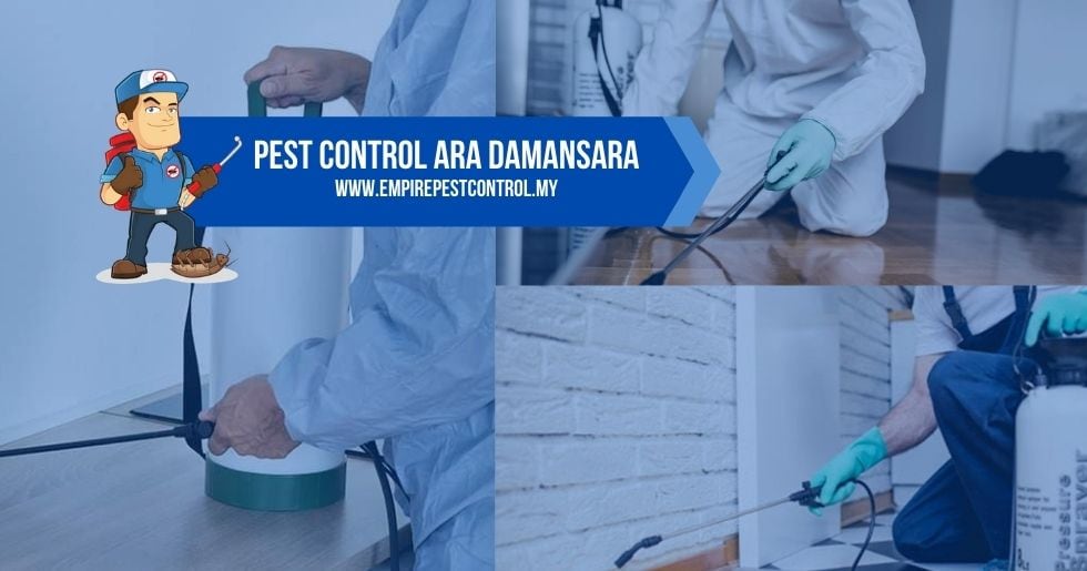 Pest Control Ara Damansara