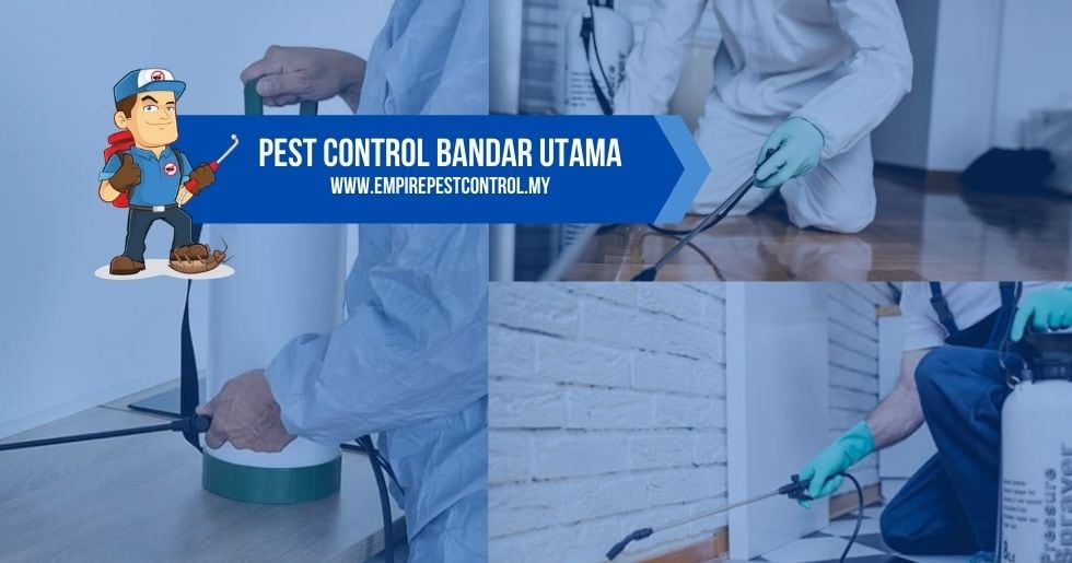 Pest Control Bandar Utama