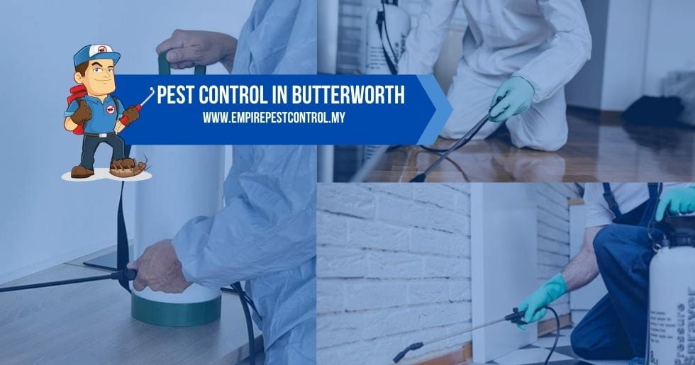 Pest Control Butterworth