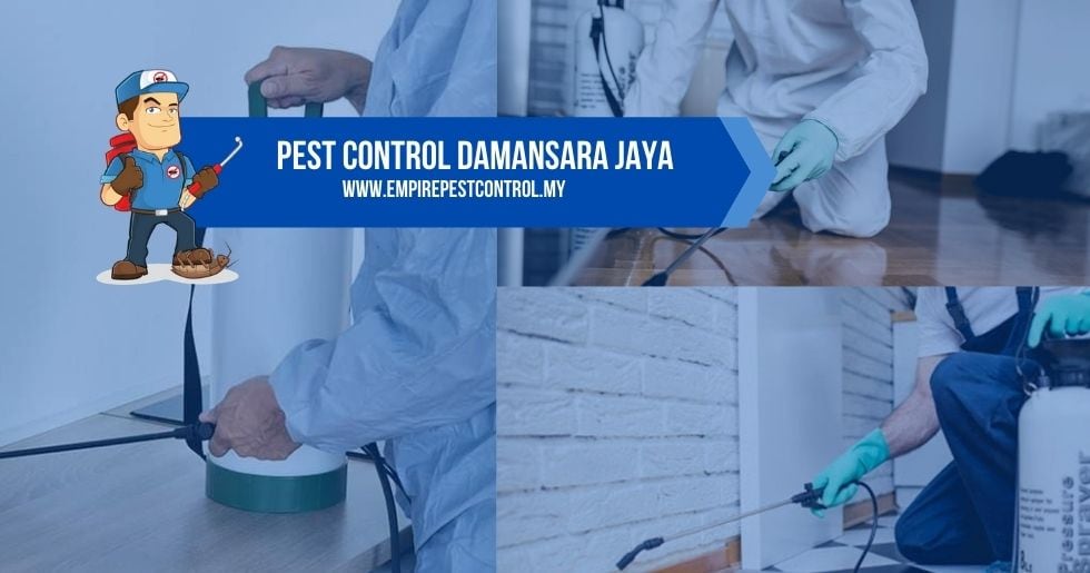 Pest Control Damansara Jaya