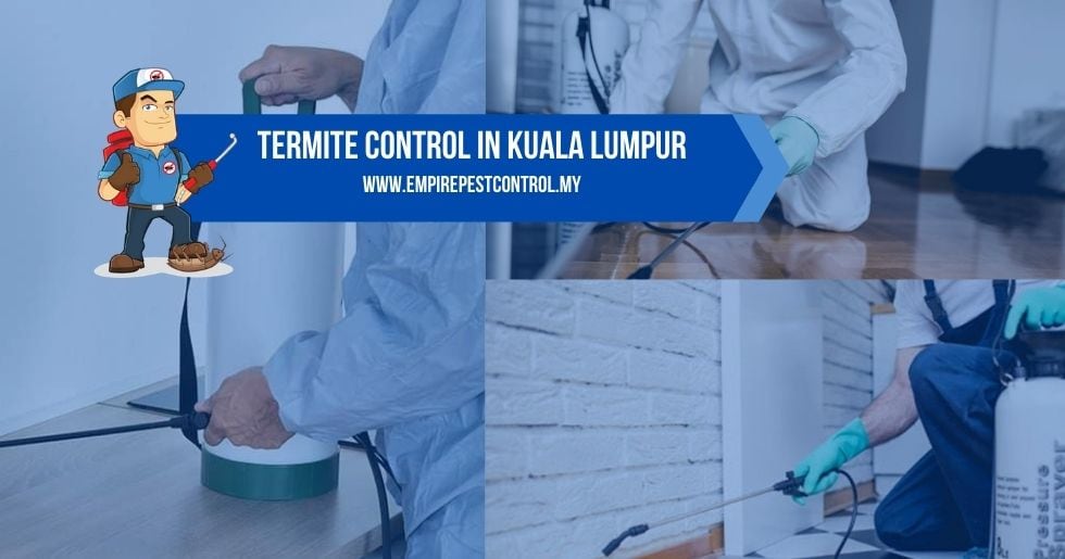 Termite Control Kuala Lumpur