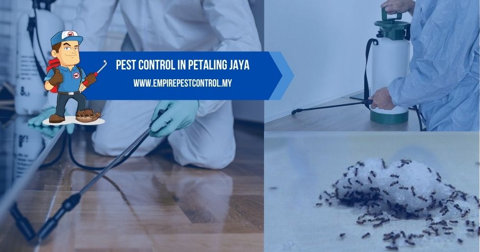 Pest Control Petaling Jaya PJ