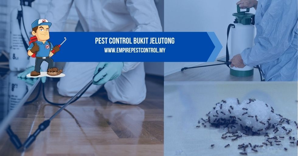 Pest Control Bukit Jelutong