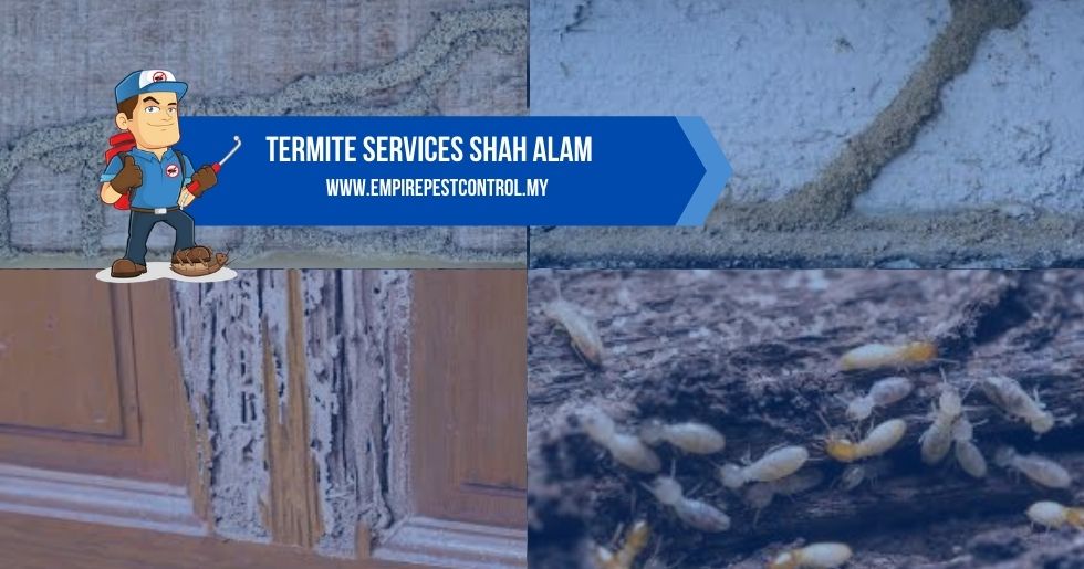 Termite Services Shah Alam