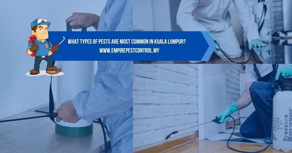 What Types of Pests Are Most Common in Kuala Lumpur