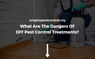 What Are The Dangers Of DIY Pest Control Treatments?