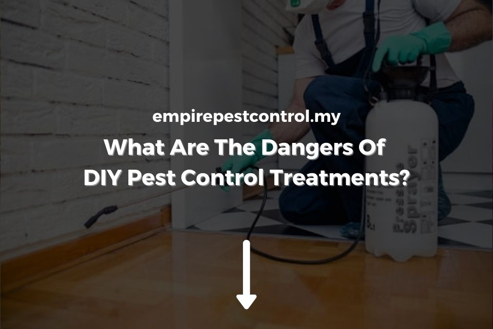 Dangers Of DIY Pest Control Treatments