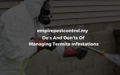 Do’s And Don’ts Of Managing Termite Infestations