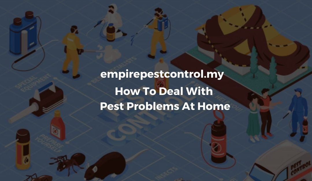 How To Deal With Pest Problems At Home Featured Image