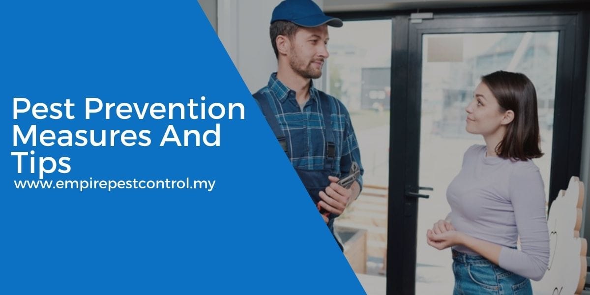 Pest Prevention Measures And Tips Pest Prevention Measures And Tips