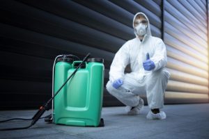 Pest Treatment