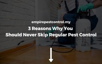 3 Reasons Why You Should Never Skip Regular Pest Control