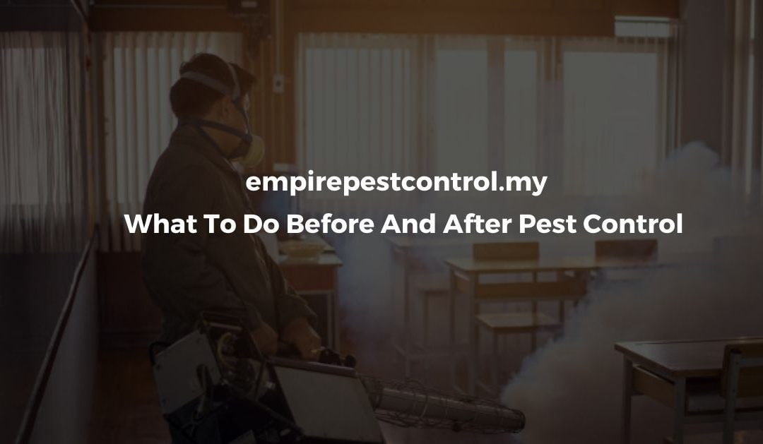 What To Do Before And After Pest Control Featured Image