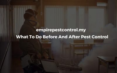 What To Do Before And After Pest Control