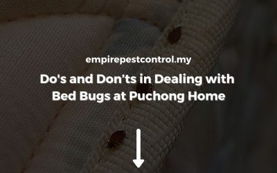 Do’s and Don’ts in Dealing with Bed Bugs at Puchong Home