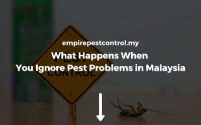 What Happens When You Ignore Pest Problems in Malaysia