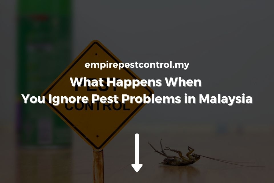 What Happens When You Ignore Pest Problems in Malaysia