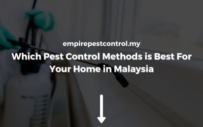 Which Pest Control Methods is Best For Your Home
