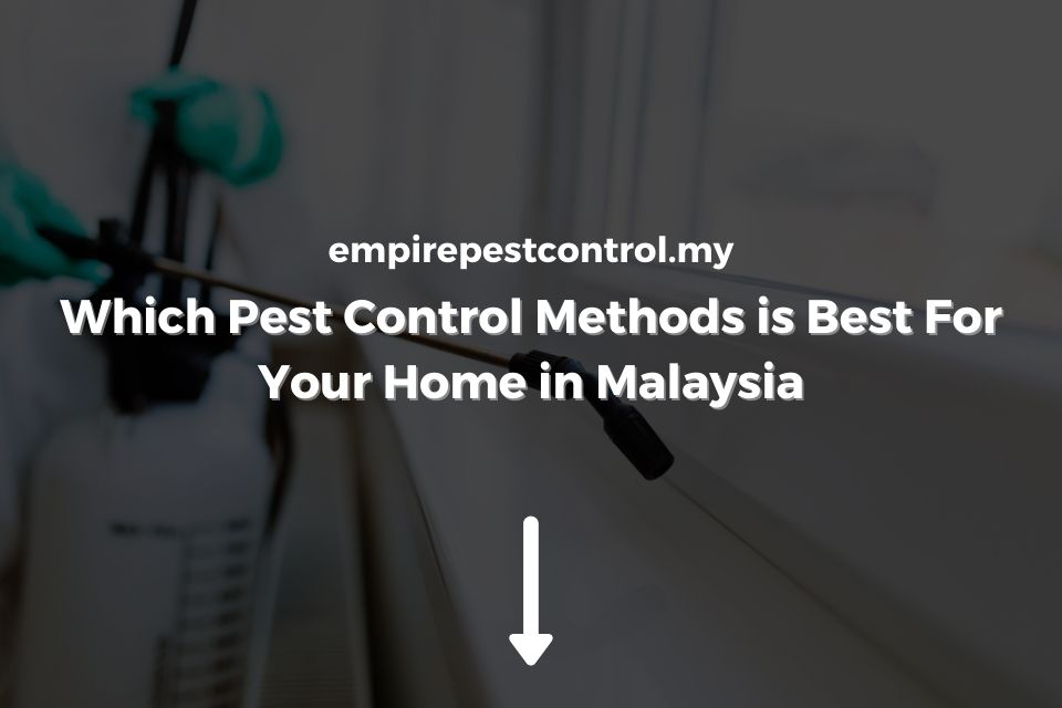 Which Pest Control Methods is Best For Your Home in Malaysia