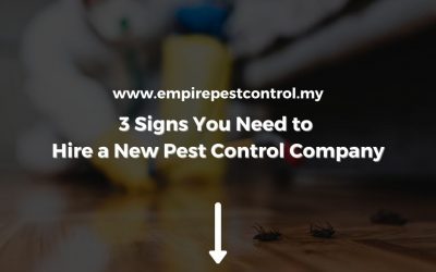 3 Signs You Need to Hire a New Pest Control Company