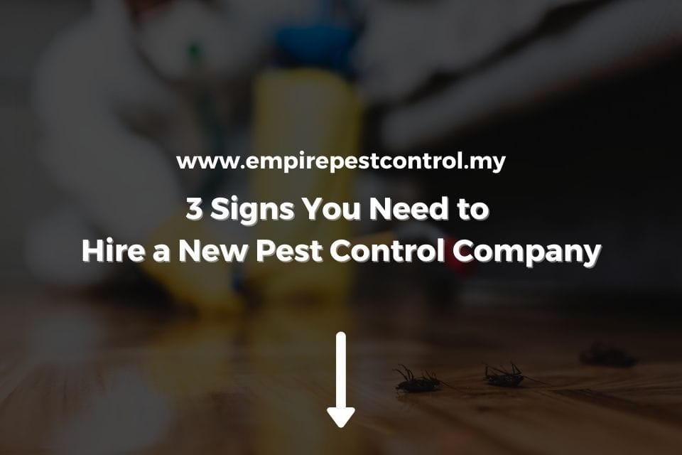 3 Signs You Need to Hire New Pest Control Company