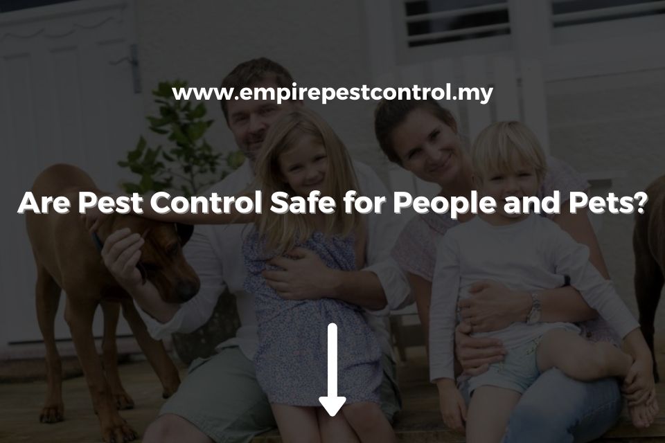 Are Pest Control Safe for People and Pets