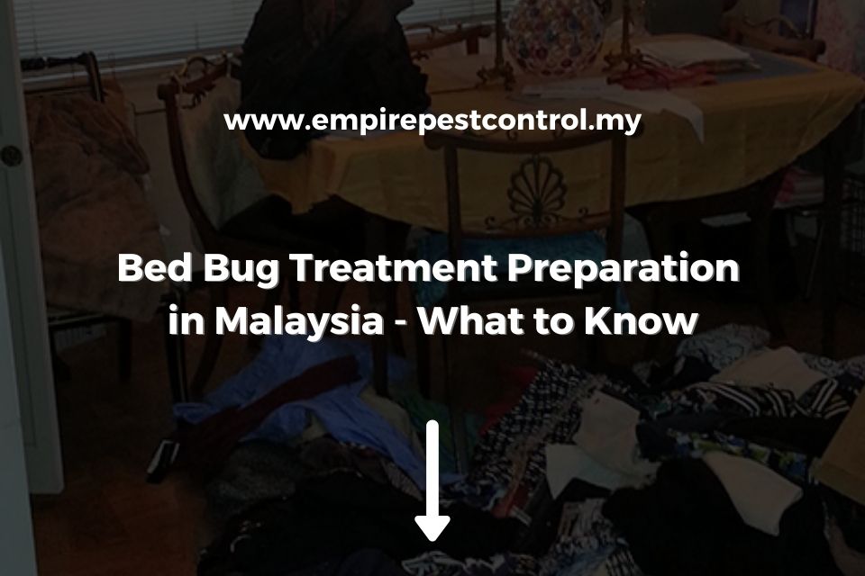 Bed Bug Treatment Preparation in Malaysia