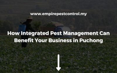 How Integrated Pest Management Can Benefit Your Business in Puchong