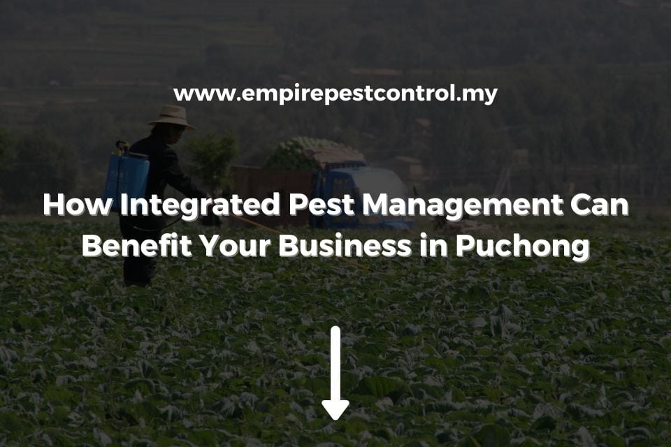 How Integrated Pest Management Can Benefit Your Business in Puchong