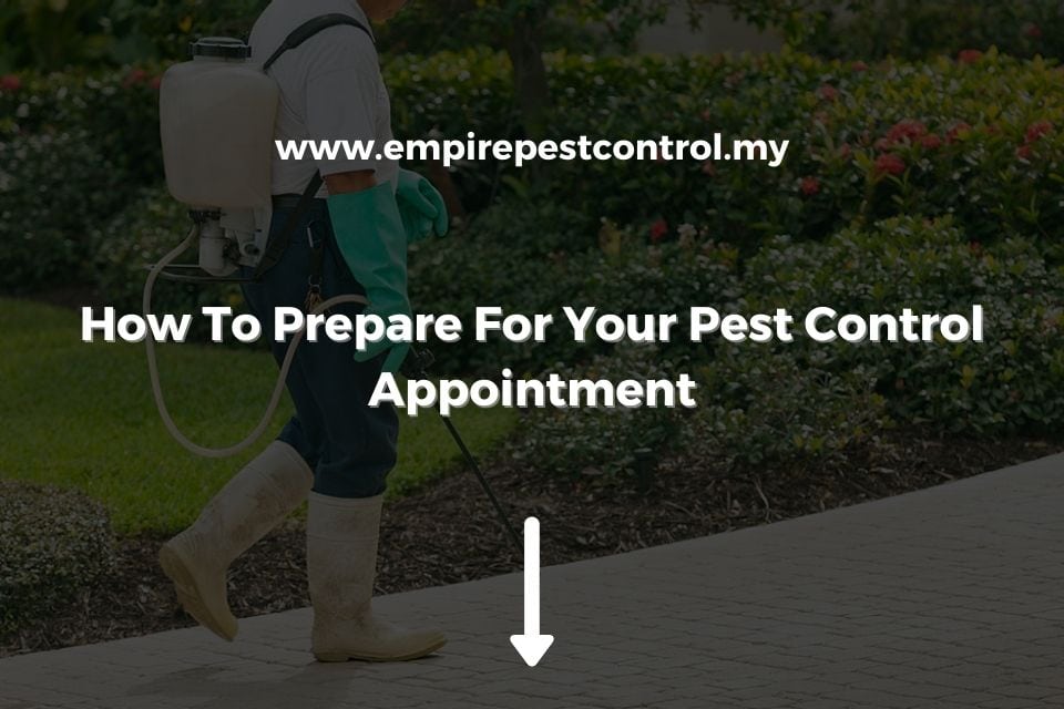 How To Prepare For Your Pest Control Appointment