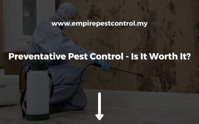 Preventative Pest Control – Is It Worth It?