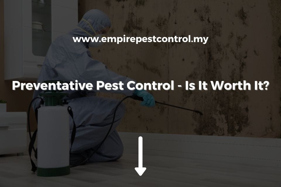 Preventative Pest Control - Is It Worth It