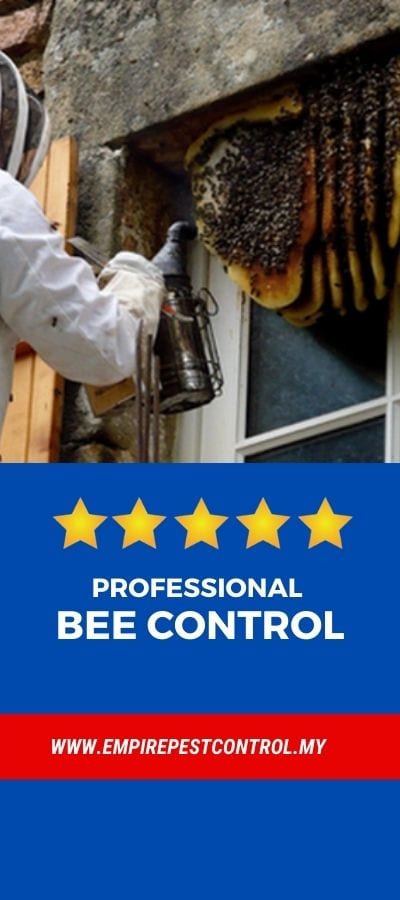 Professional Bee Control Malaysia