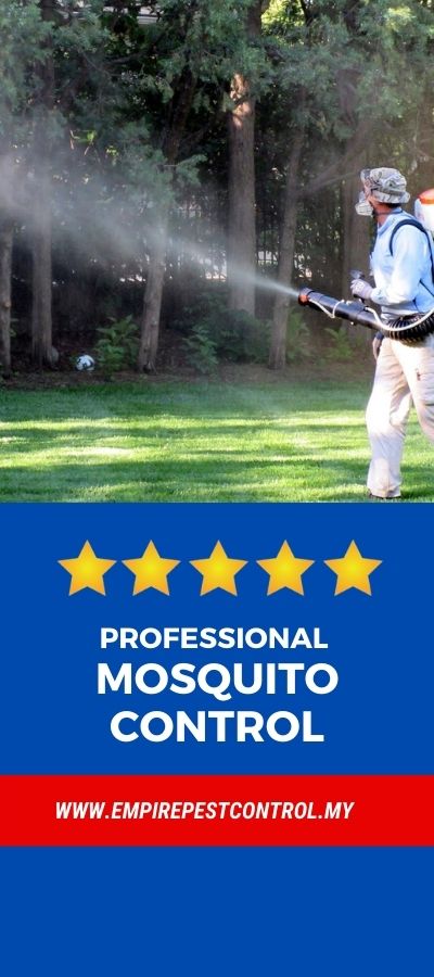 Professional Mosquito Control Malaysia