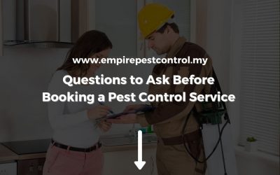 Questions To Ask Before Booking A Pest Control Service
