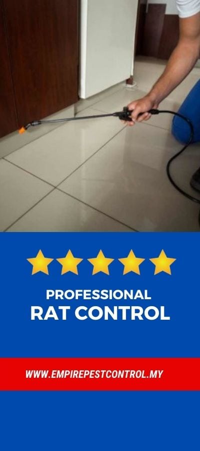 Rat Control Malaysia