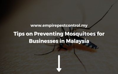 Tips on Preventing Mosquitoes for Businesses in Malaysia