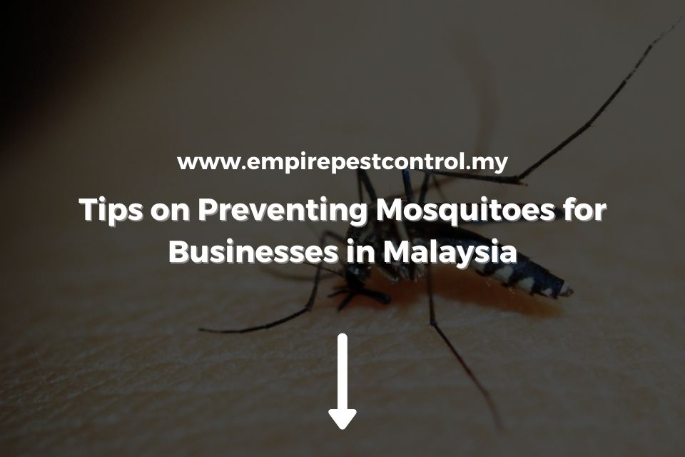 Tips on Preventing Mosquitoes for Businesses in Malaysia