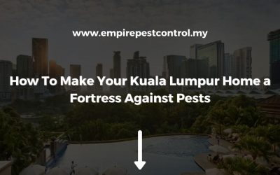 How To Make Your Kuala Lumpur Home a Fortress Against Pests