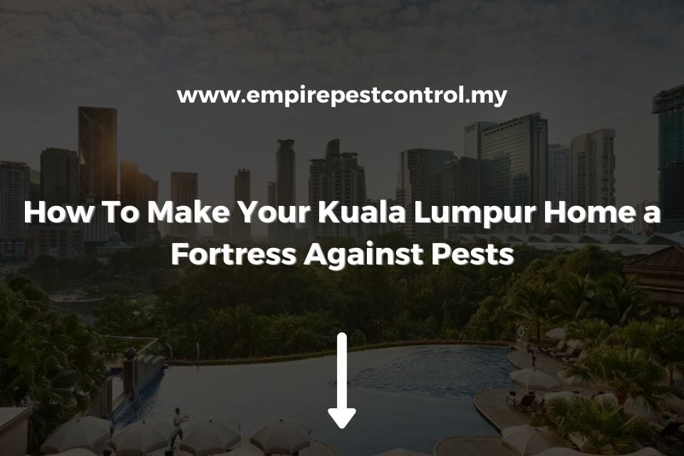 How To Make Your Kuala Lumpur Home a Fortress Against Pests