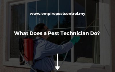 What Does a Pest Technician Do? 