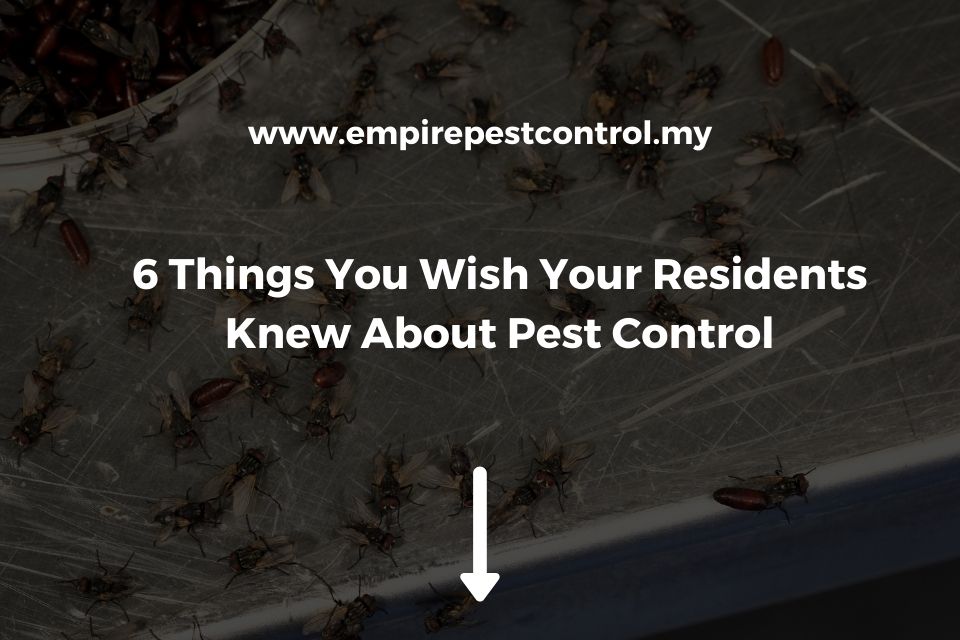 6 Things You Wish Your Residents Knew About Pest Control