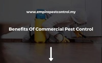 Benefits Of Commercial Pest Control