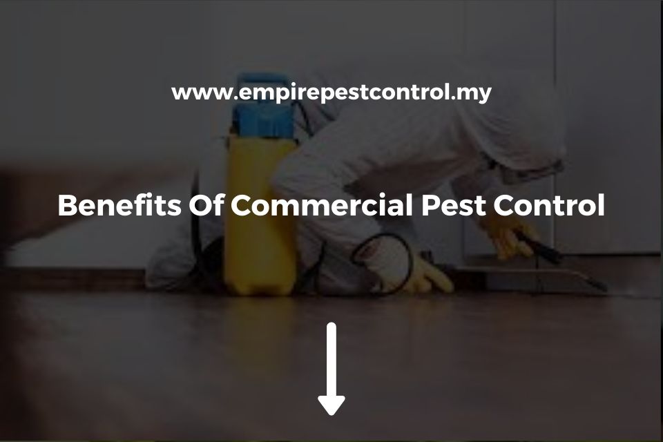 Benefits Of Commercial Pest Control